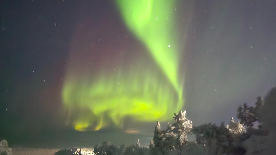 Vihreä revontuli lumisen metsän yllä