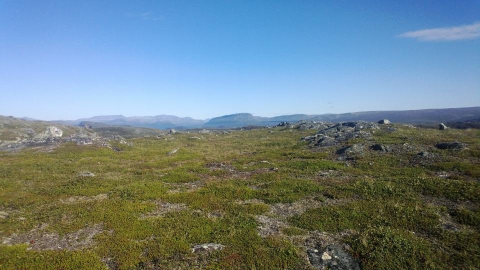 Tunturimaisema