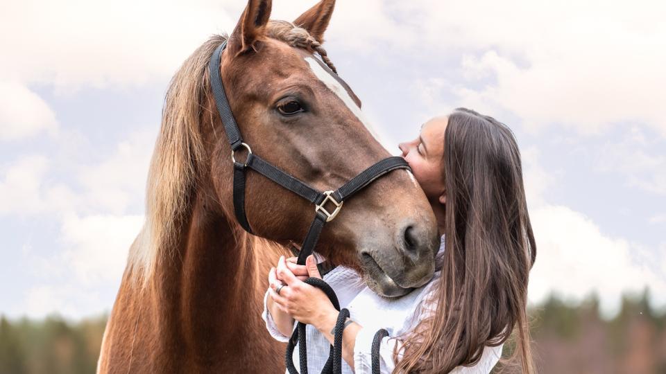 horse and woman