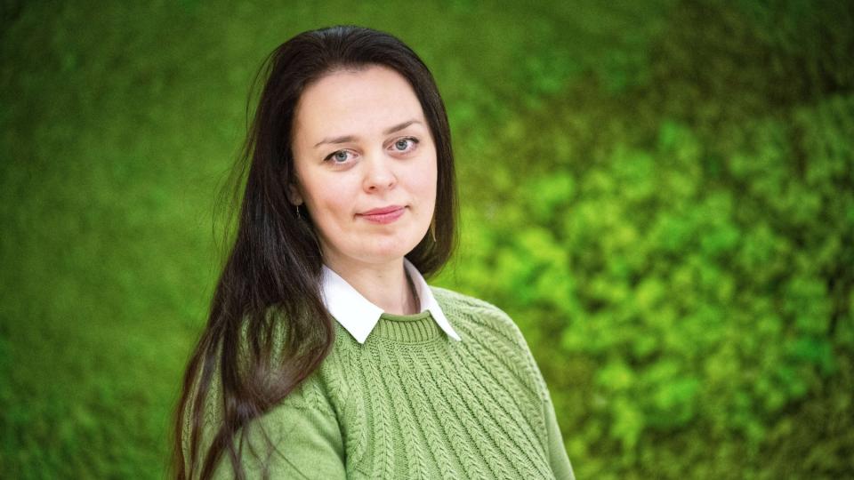 vladimirova researcher profile image