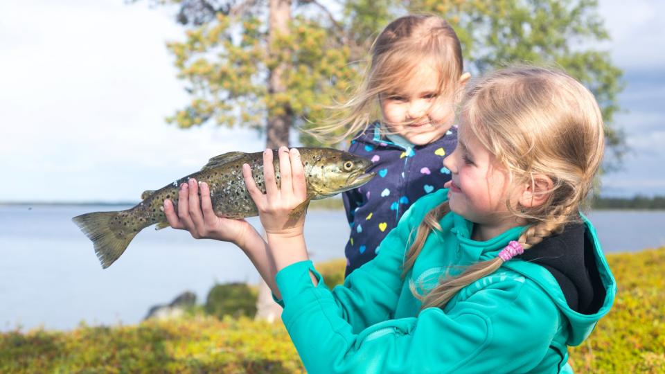 Two children near the Lake Inari are looking at a trout that one of the children is holding.