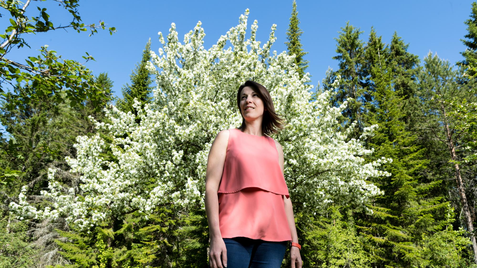 Researcher standing in front of a blossoming apple tree.