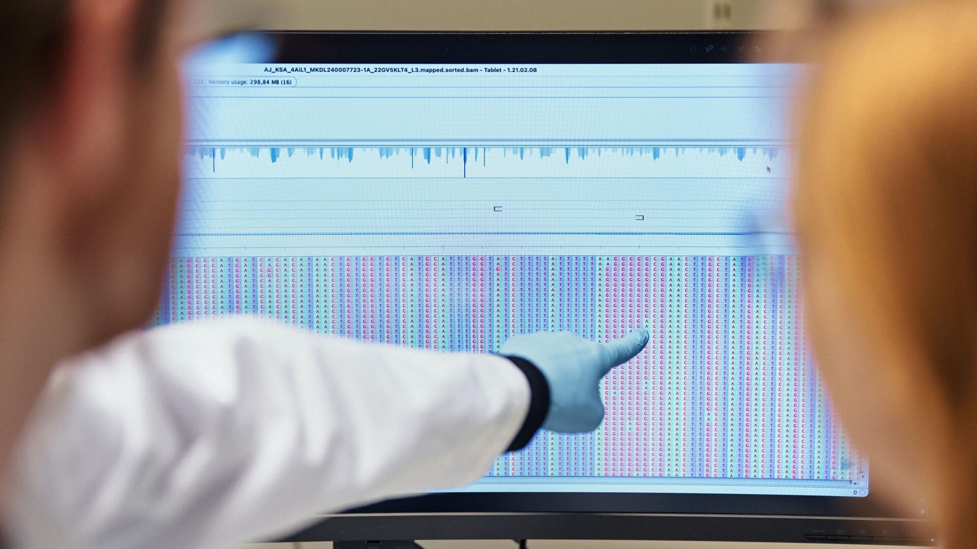 Scientist is pointing on the screen on which an ancient DNA can be seen.