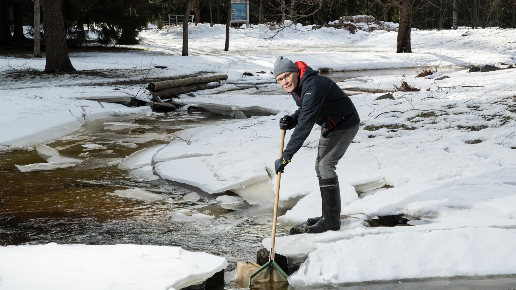 Professori Timo Muotka haavin kanssa pienveden ääressä.