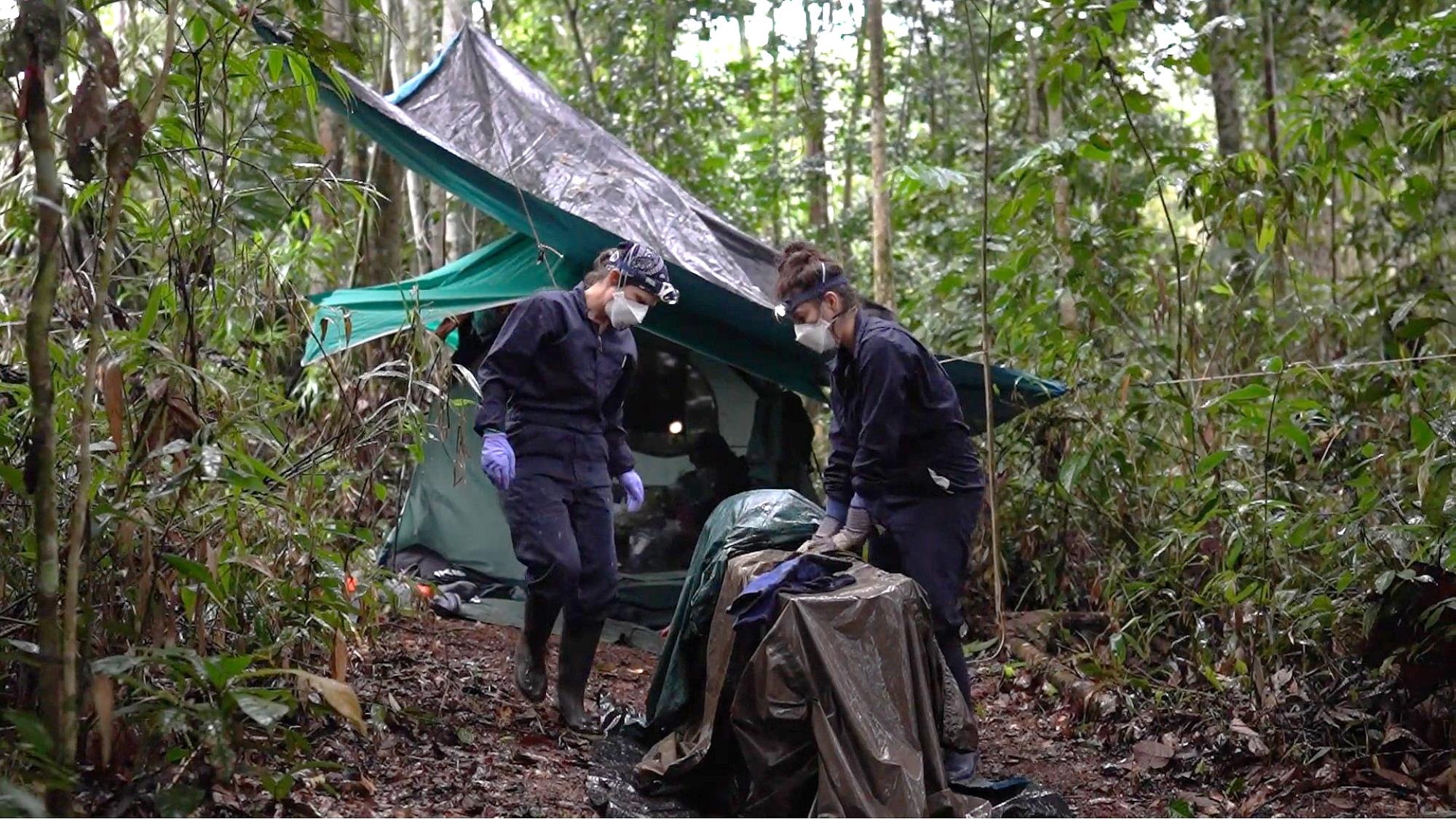 Two people working in the jungle.