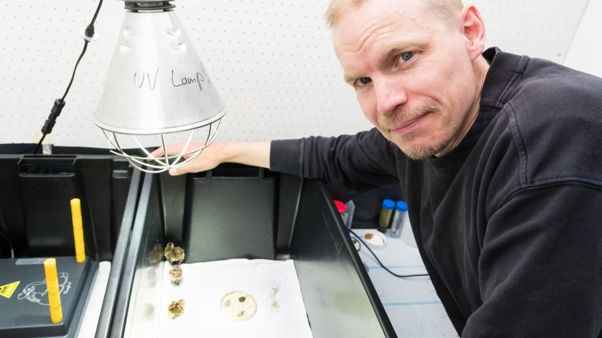 A person and small birds in a laboratory