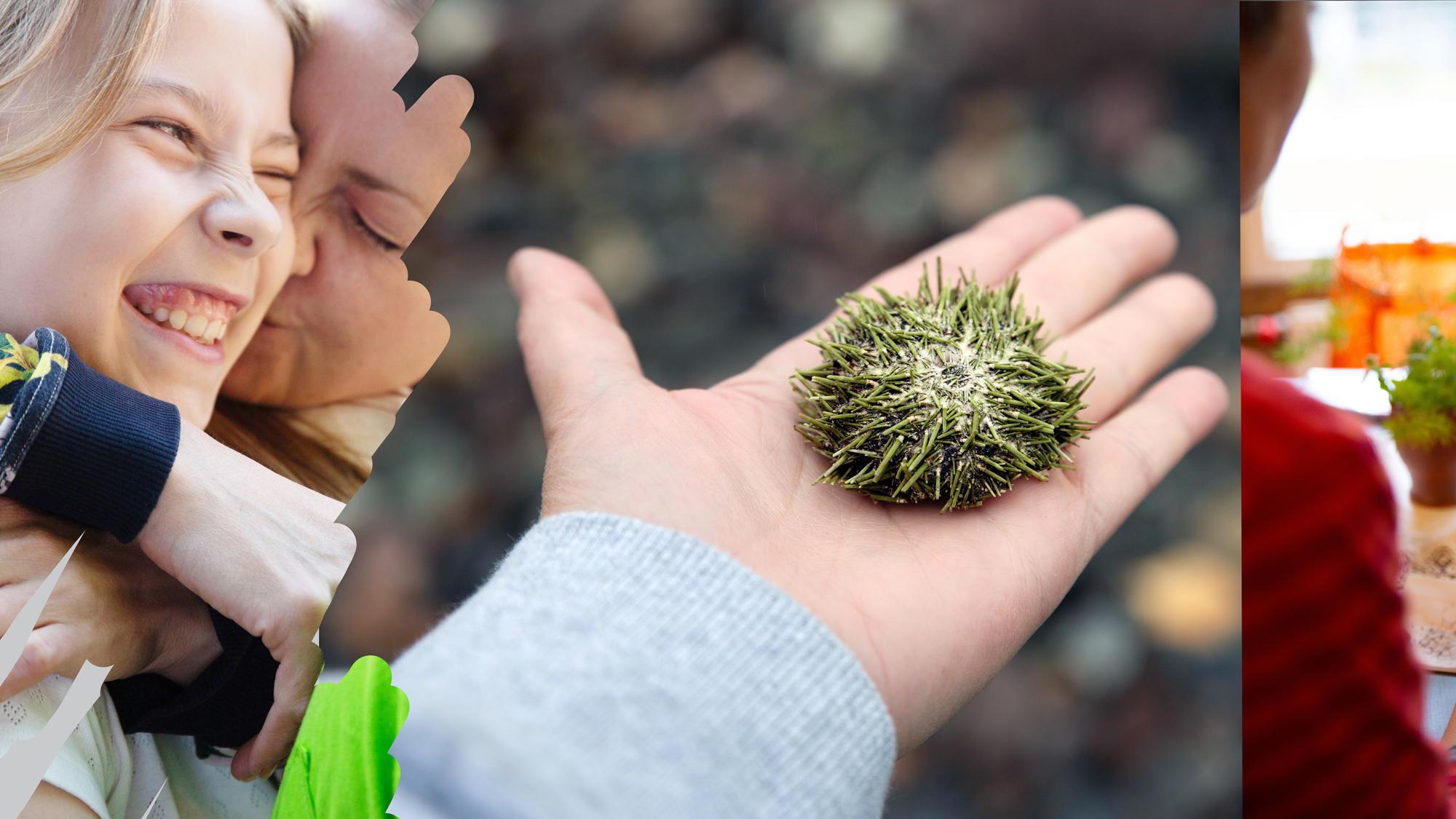 A picture of parent and child hugging and next to it other picture of a person holding a plant