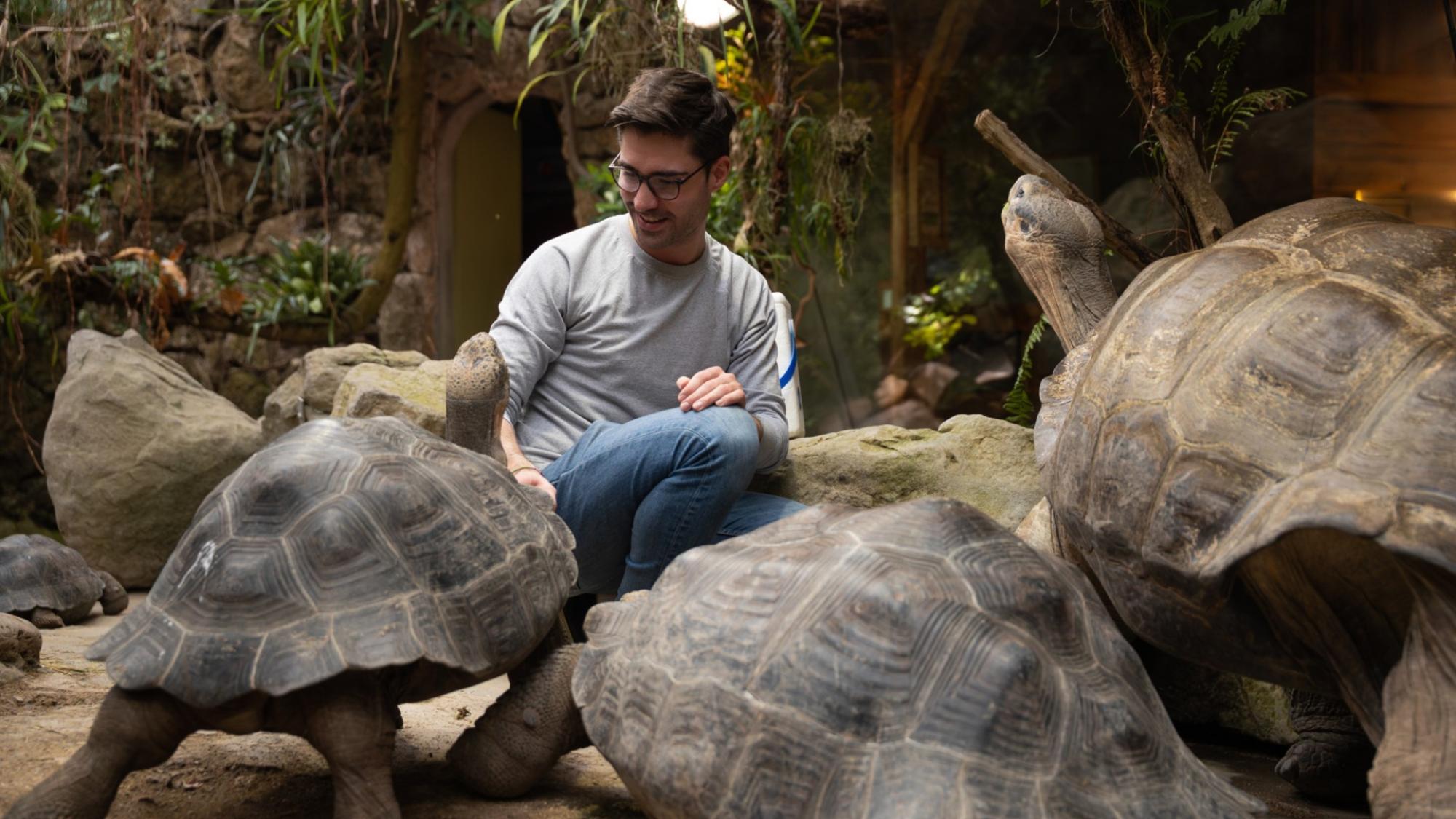 Giant tortoises and a researcher