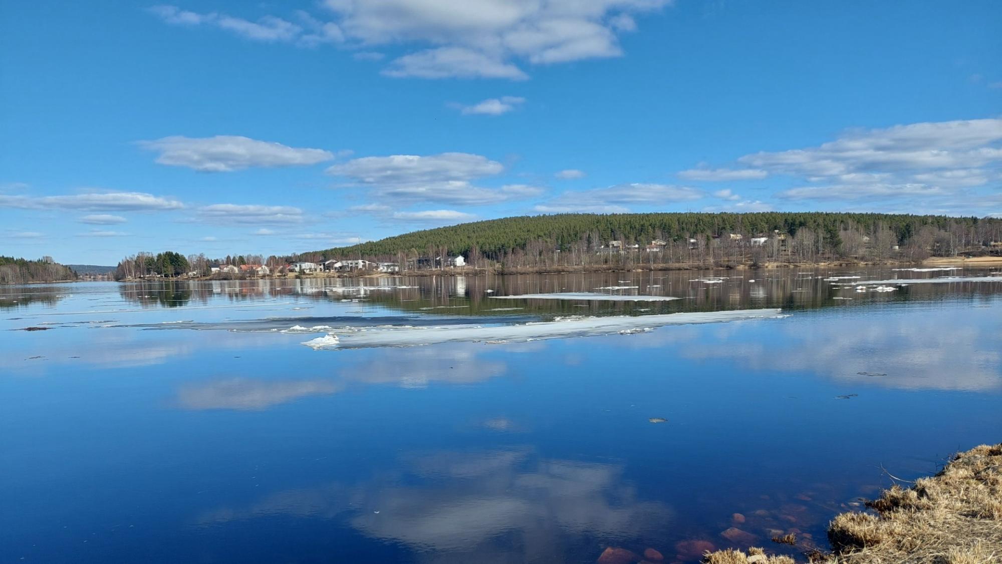 Blue Kemi river with ice floating and a forested hill, landscape reflecting from the river