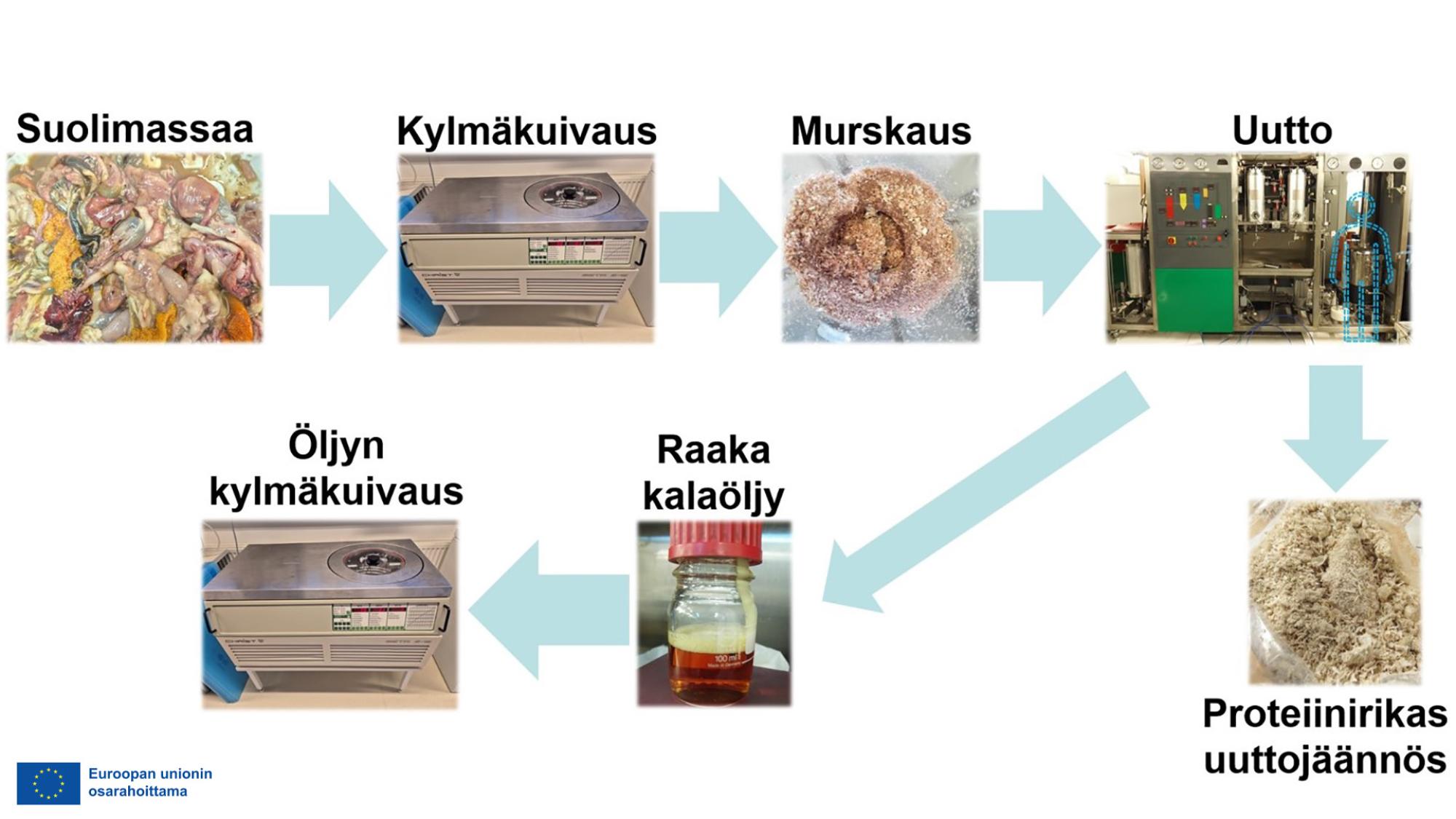 Kemikaalivapaa prosessi suolimassan prosessoimiseksi kalaöljyksi ja proteiinijakeeksi.