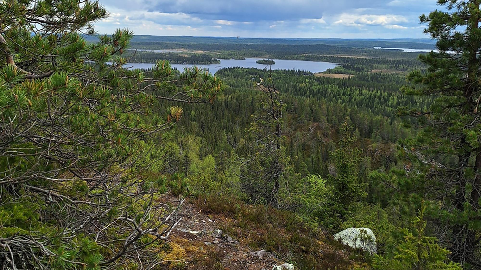 maisemakuva Kallunkijärvelle