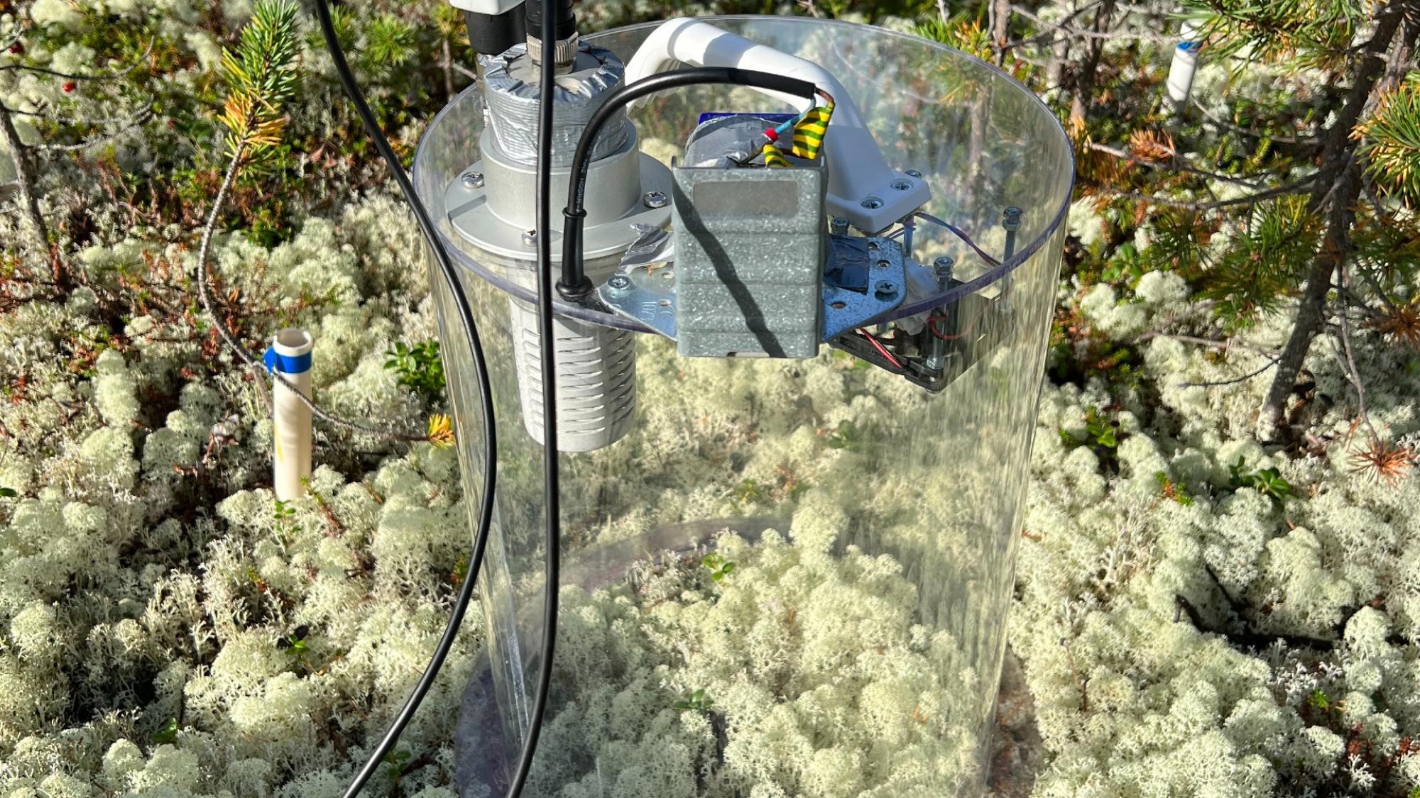 Measurement chamber in forest