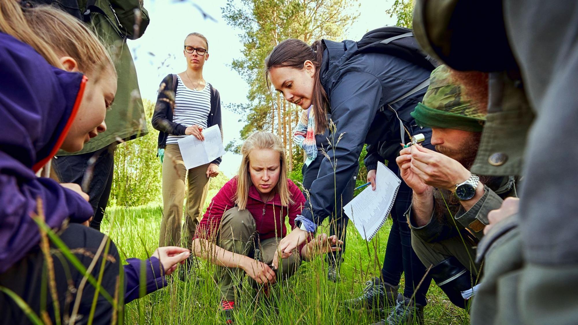 A group of researches, looking at plants trying to identify different species.