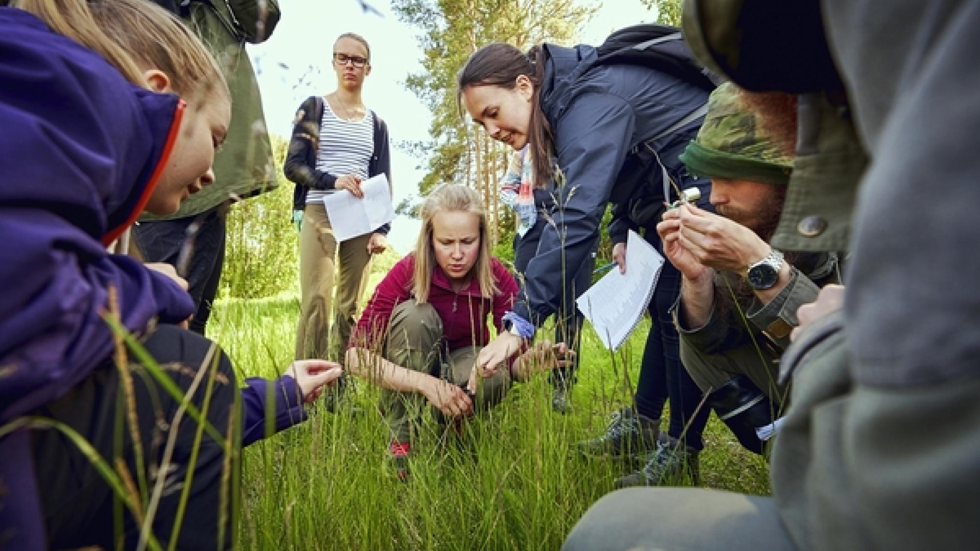 Kasveja tunnistava tutkijaryhmä
