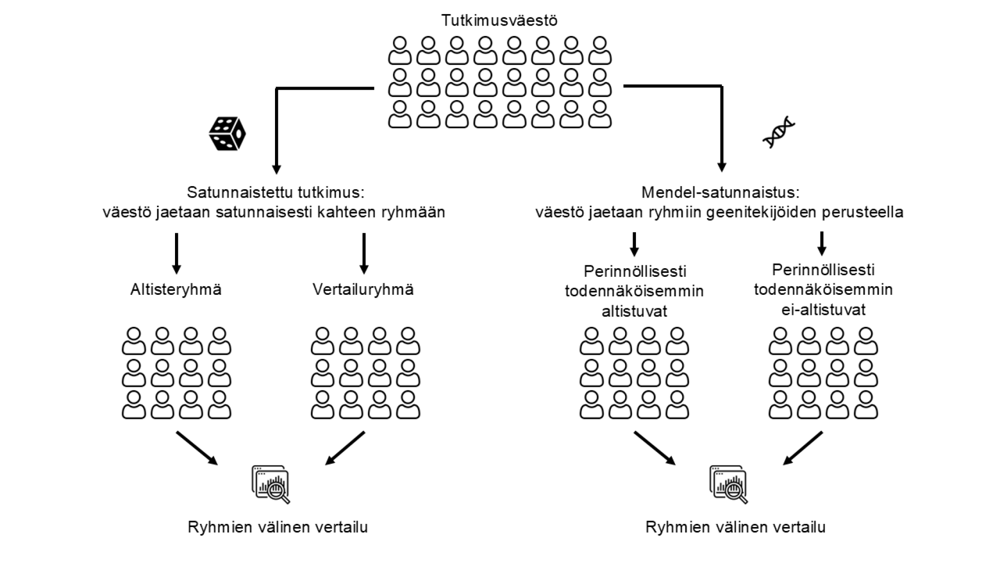 Satunnaistetun tutkimuksen ja Mendel-satunnaistuksen vertailu kaavakuvana.
