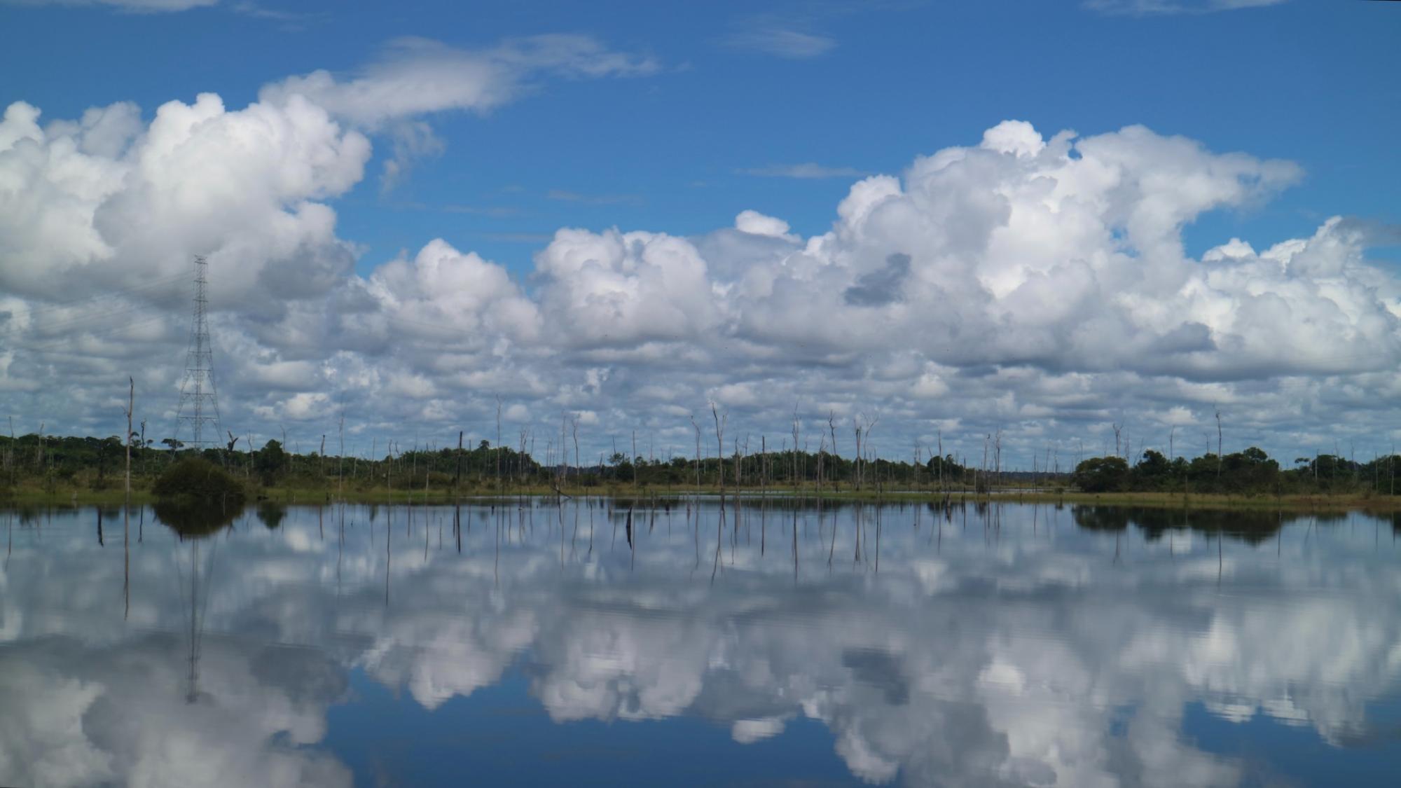  Dead standing trees in water area and blue sky with clouds