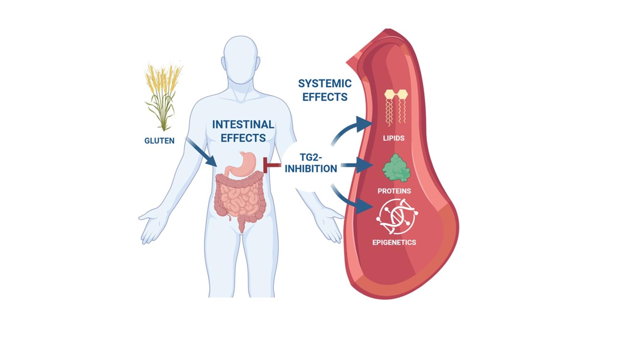 Picture illustrating the effects of the experimental drug to human body