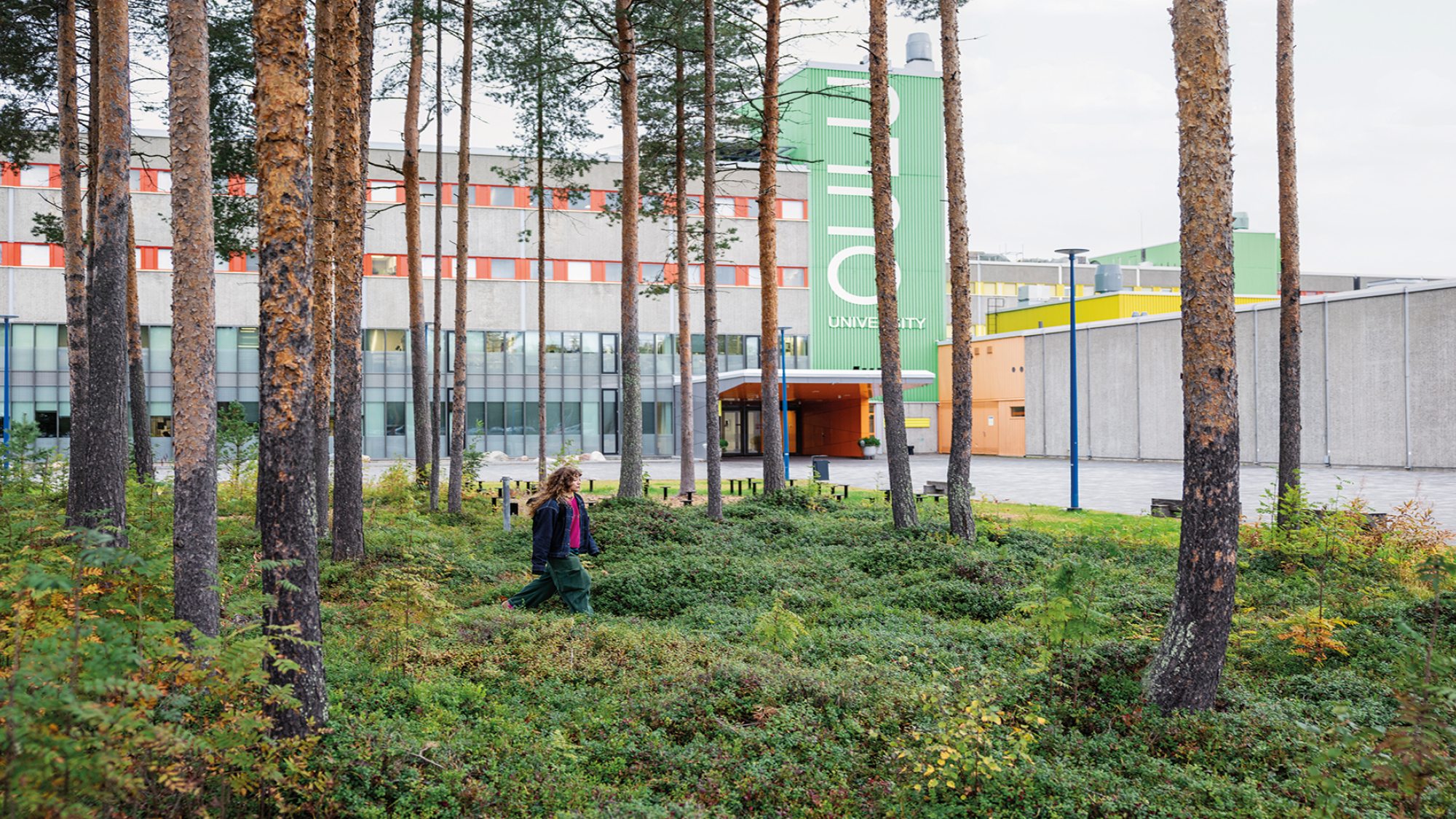 Rakennesuunnittelun perusteet