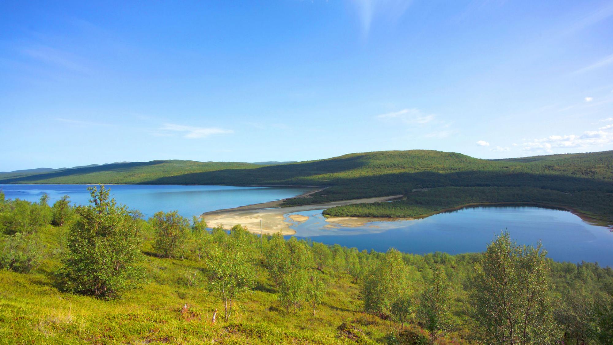 A northen tundra and lake landscape in summer.