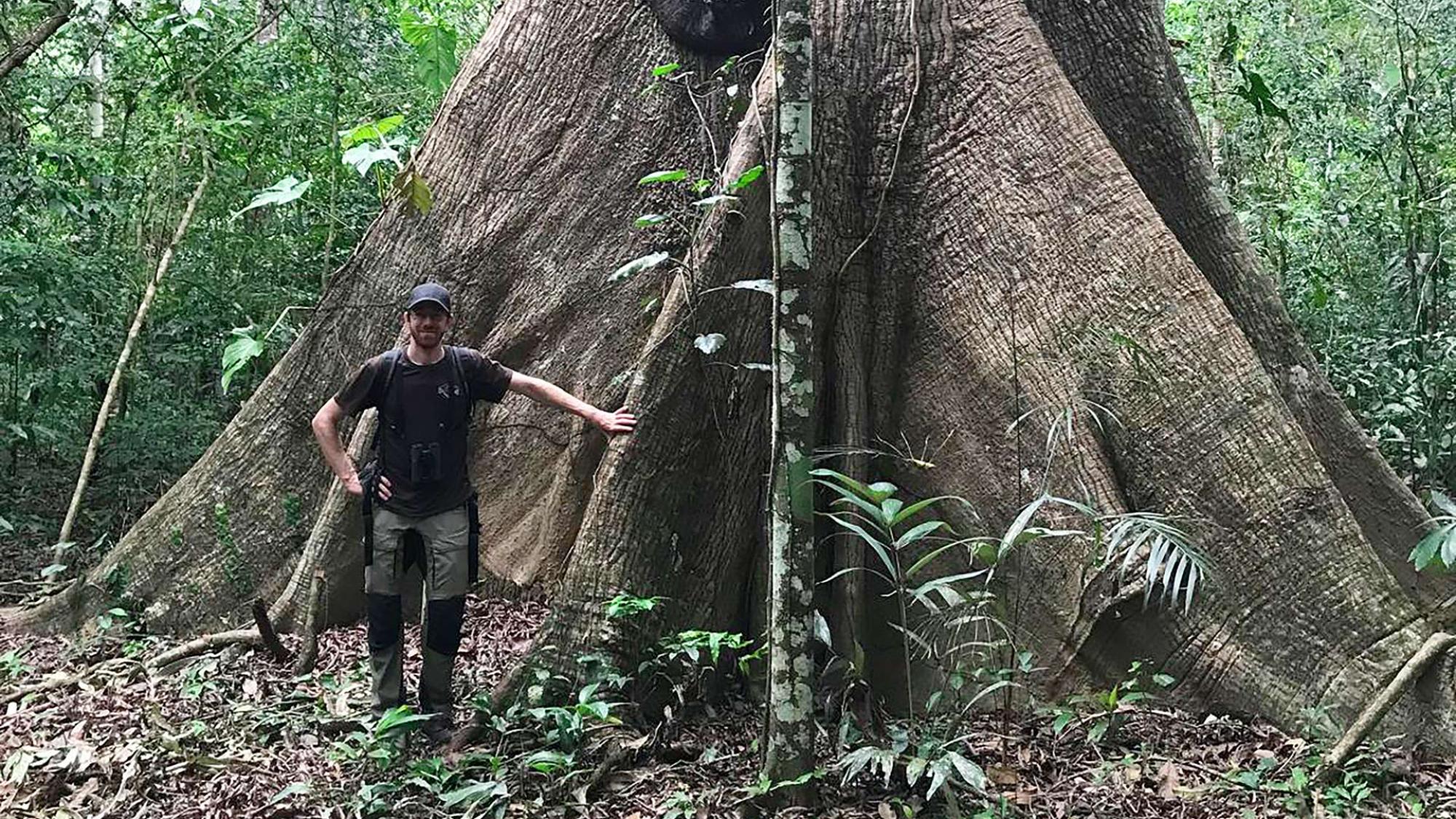 A man stands in front of a big tree in the jungle.