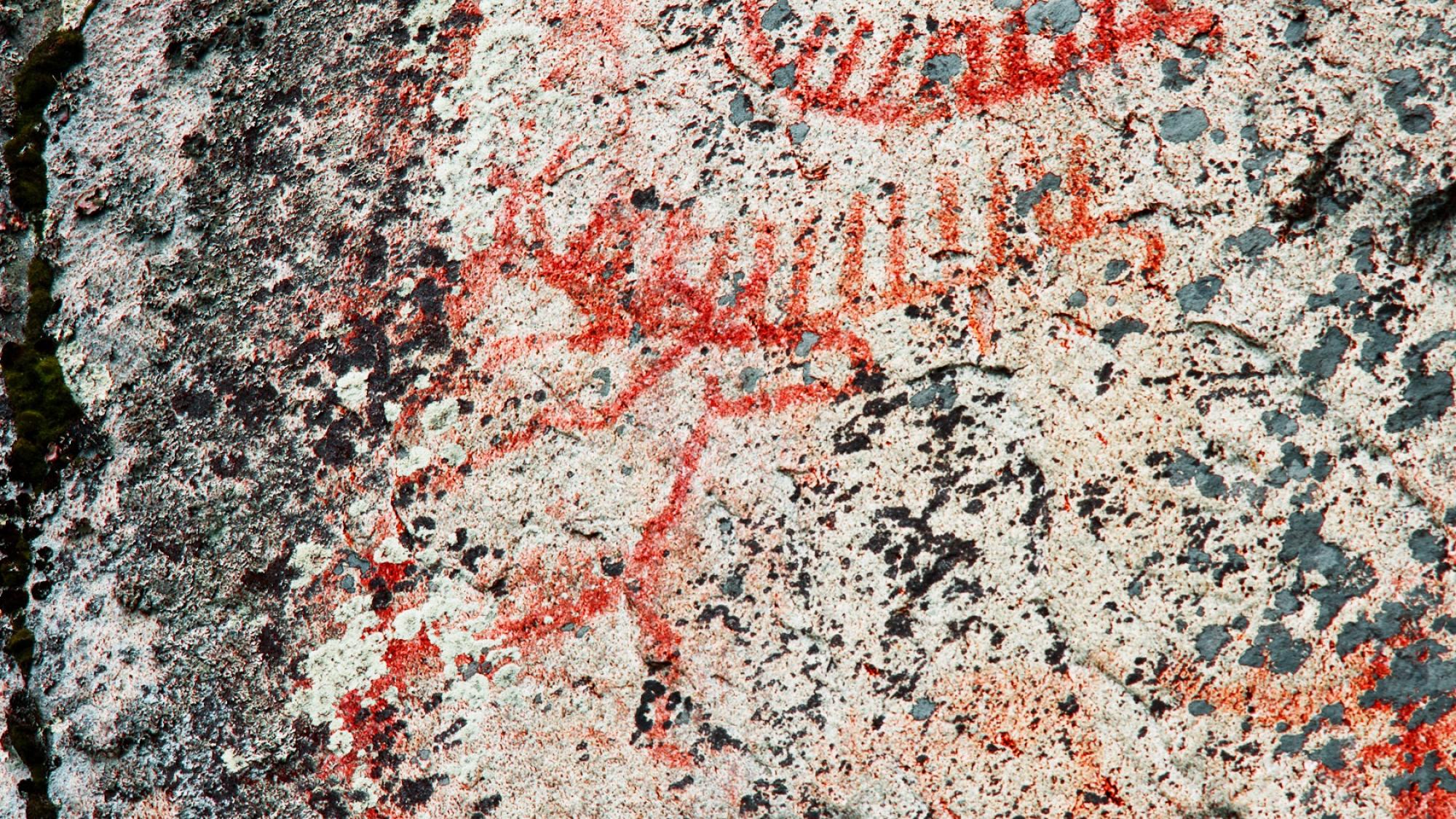 Veneaiheinen kalliomaalaus Saraakallion ja Astuvansalmen välisellä reitillä Päijänteellä Kuhmoisissa.