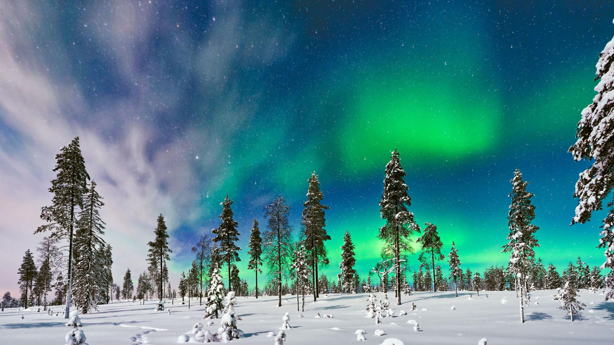 Revontulia talvisen maiseman yllä