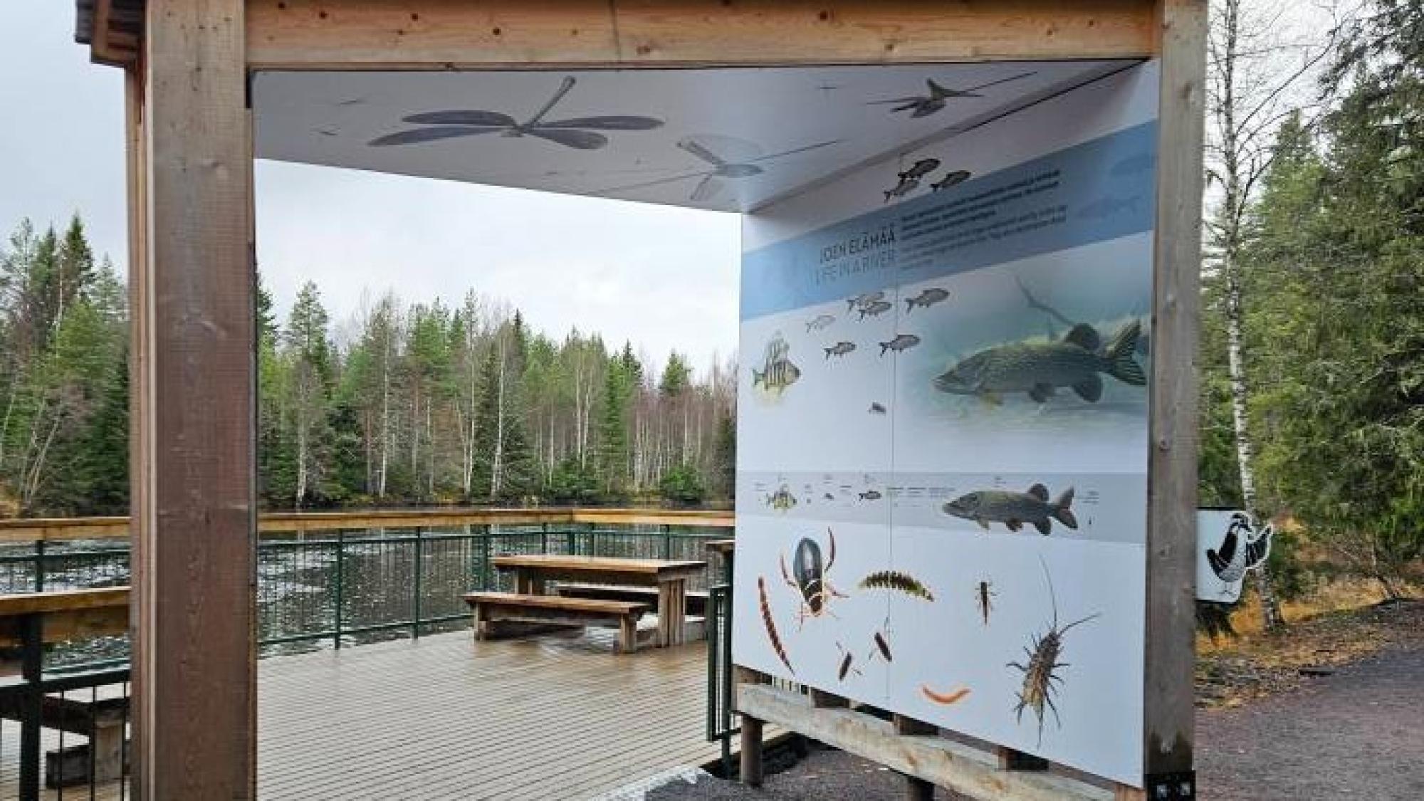 A big board with information and pictures of river life, Sanginjoki natural park, Finland.