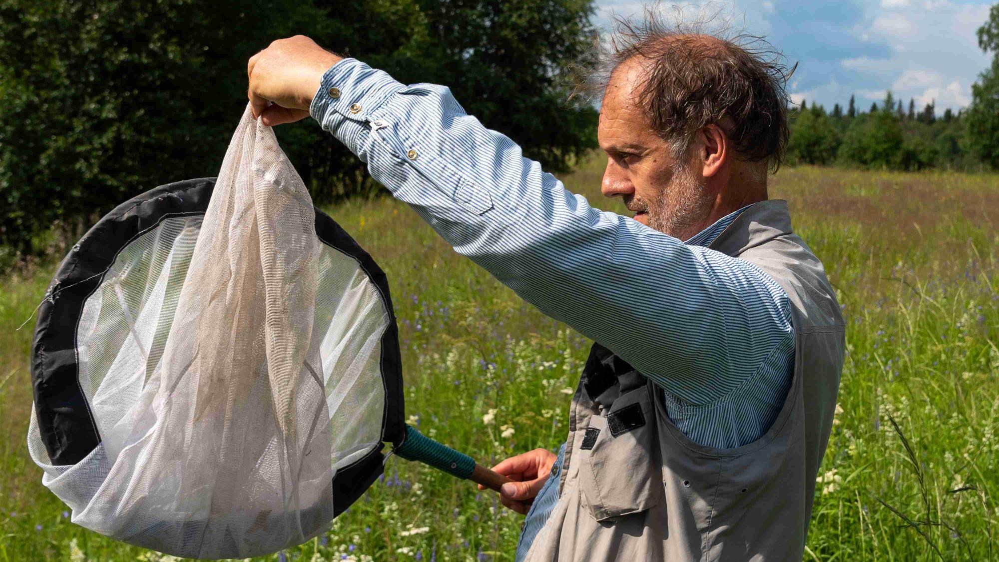 A man using a hand net in a flowery field