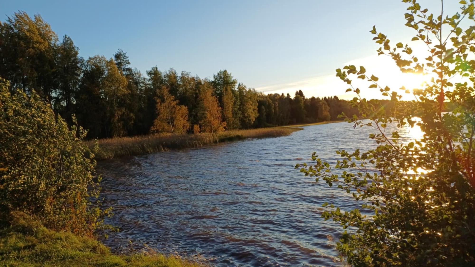A view to a lake. Behind the three shines the sun. Forest on the left side.