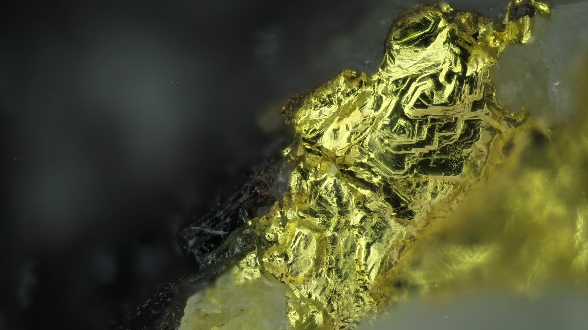 Virtuaalisen kivimuseon kultanäyte.