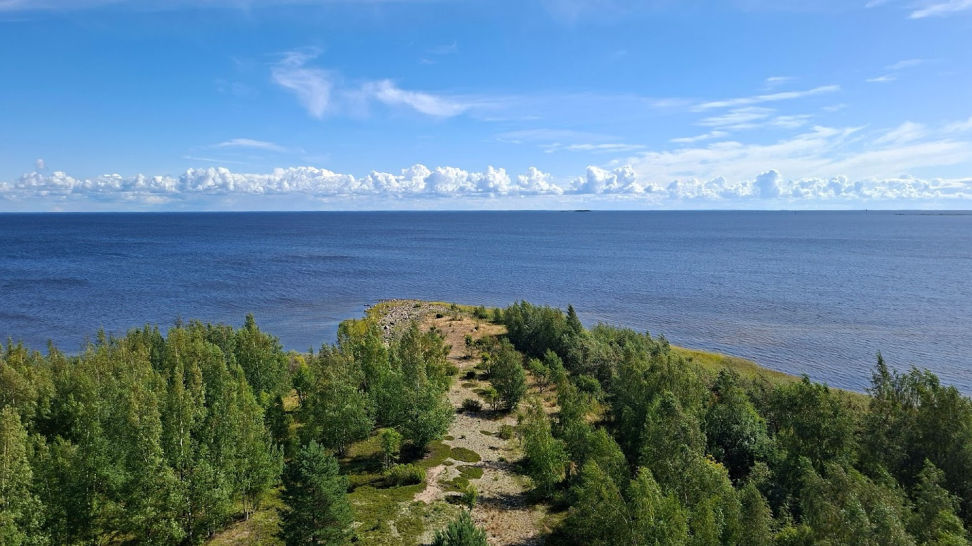 land with sand and forest, and sea and sky